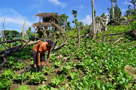 Indigenous Farming Practices in the Philippines: Old Ways of .